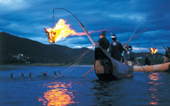 Ukai Cormorant Fishing